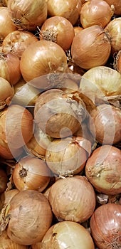 Onions