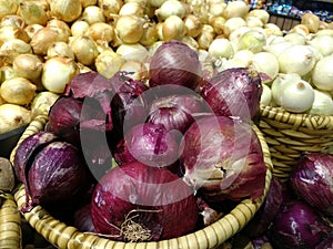 Onions