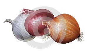 Onions