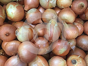 Onions