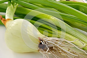 An onions
