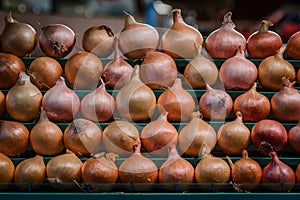 Onions attractively arranged for sale at market stall display