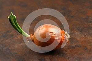 onions on a black background