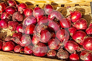 Onions in a box ready for sale