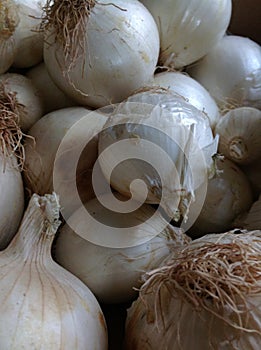onions
