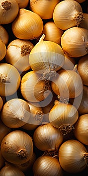 Onions: a Closeup Pile of Interconnections