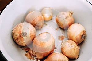 Onions in an enameled bowl