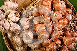 Onions and garlic bulbs