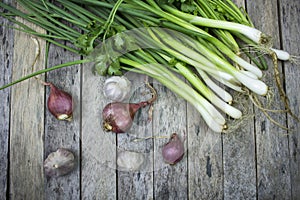 Onions garlics and welsh onion