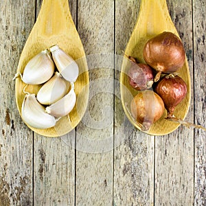Onions and garlics on wood ladle
