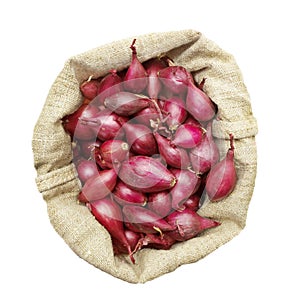 Onions intended for planting in a linen bag, view from above