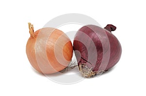 Onions, isolated photo