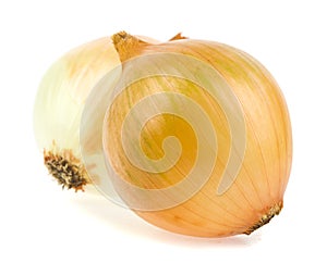 Onions isolated on white background