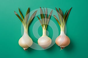 Onions isolated on white background, culinary ingredient, cooking concept