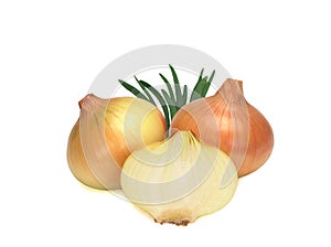 Onions isolated on white background. Top view
