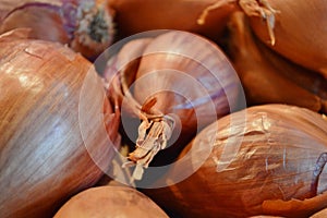 Onions at market
