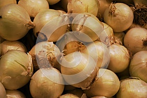Onions - Mercato Orientale, Genoa, Italy photo