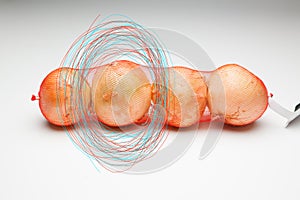 Onions in a mesh bag