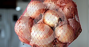 Onions in mesh bag