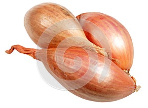 Onions in a peel on a white background