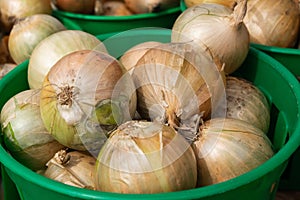 Onions For Sale at a Farmer`s Market photo