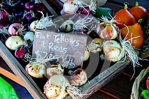 Onions for sale at Farmer`s Market with price