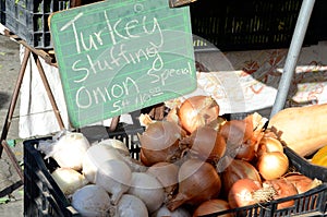 Onions for sale at a farmers market for Thanksgiving