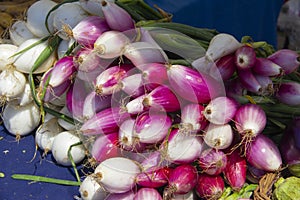 Onions for sale in an outdoor market