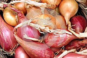 Onions (shallots)