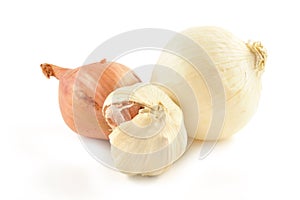 Onions, shallots, garlic and white onion