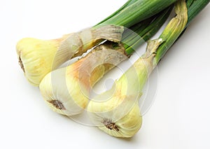 Onions with stem