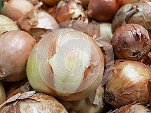 Onions on the store counter, onion-bowed close-up