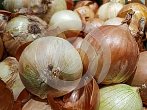 Onions on the store counter, onion-bowed close-up