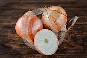 Onions
