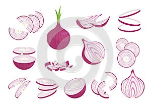 Onions in various cuts set. Whole and slices purple vegetable for seasoning and baking half and cut thin rings for salad