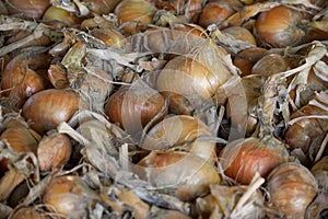 Onions with varying colors densely arranged on surface