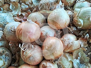 Onions vegetables