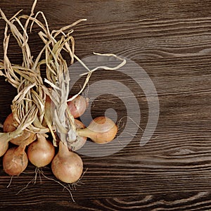 Onions on a wooden table