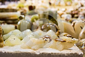 onix colored animals at the market