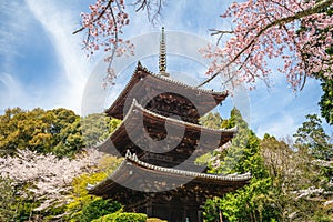 Onjoji temple at Mount Hiei in Otsu city in Shiga, Japan