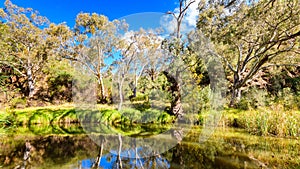 Onkaparinga River National Park on a day