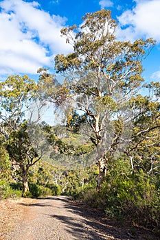 Onkaparinga River National Park panoramic view