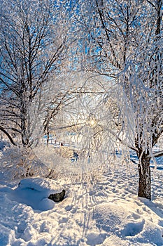 The Onkilahti park below -20 Celsius in Finland