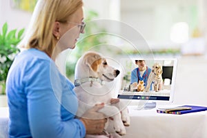 Online consultation with veterinarian doctor