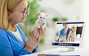 Online consultation with veterinarian doctor