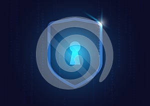 Online data protection shield