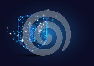 Online data protection shield and abstract