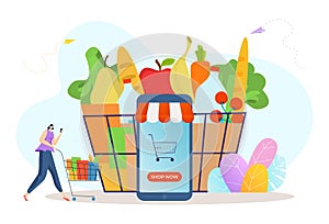 Online grocery store, tiny character woman purchase foodstuff internet shopping flat vector illustration, isolated on