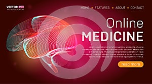 Online medicine landing page template or medical hero banner design concept. Human brain outline organ vector illustration in 3d