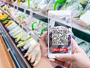 Online order grocery shopping on touch screen concept. Woman hand holding smart phone with checks the QR code or e-wallet on label